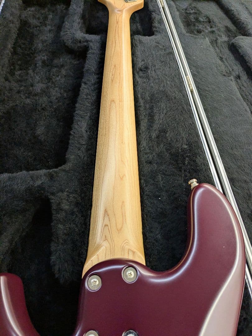 ベース FREEDOM CUSTOM GUITAR RESEARCH Anthra5st