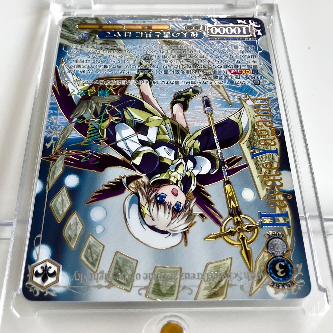 ヴァイス 魔法少女 リリカルなのは 20th SEC 夜天の書と共に はやて