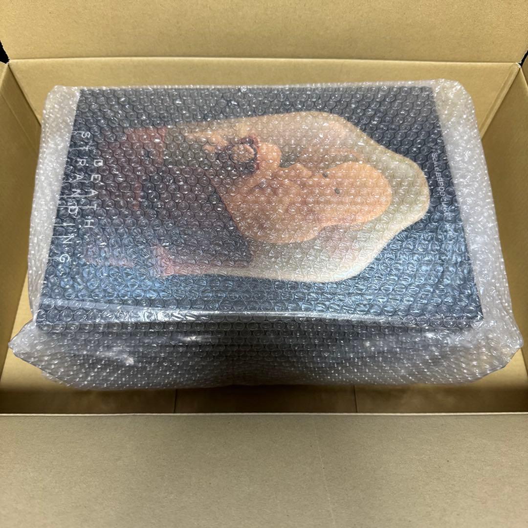 DEATH STRANDING Scale 1/1 BBPOD“LIKE”Ver