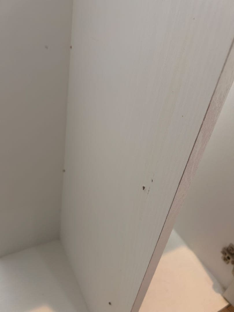 60cm水草水槽 フルセット 引き取り限定／CO2・LED・外部F付