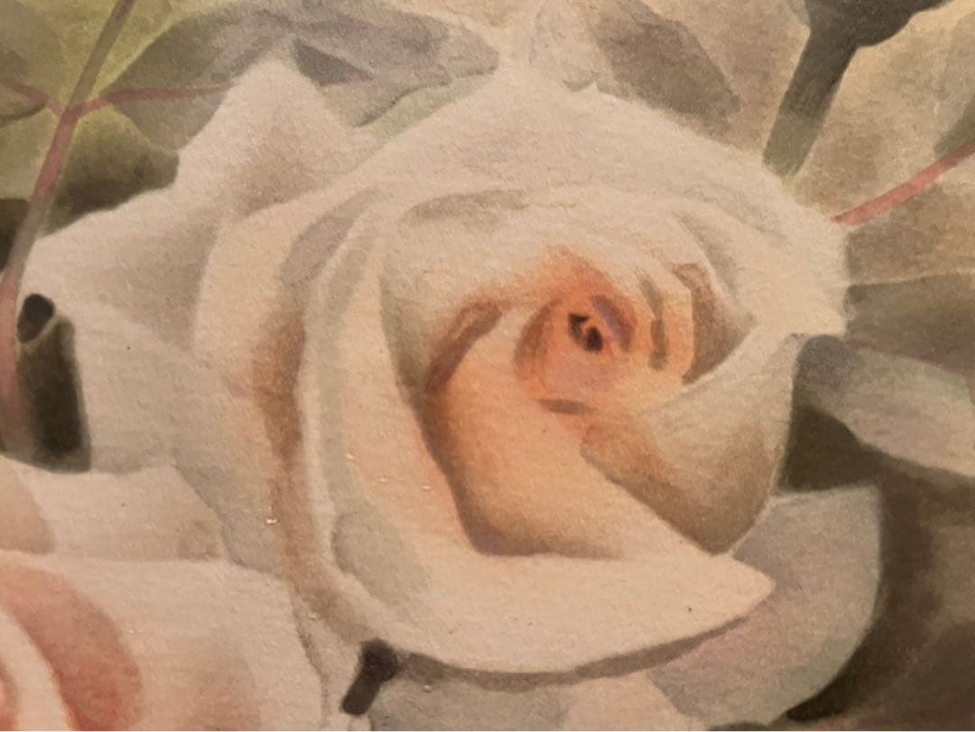 堂本元次 薔薇匂う リトグラフ アート インテリア 額縁