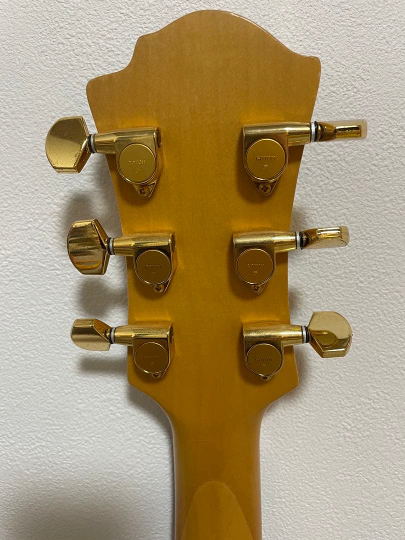 TARGET ギター レッド/オレンジグラデーション　hide モッキンバード