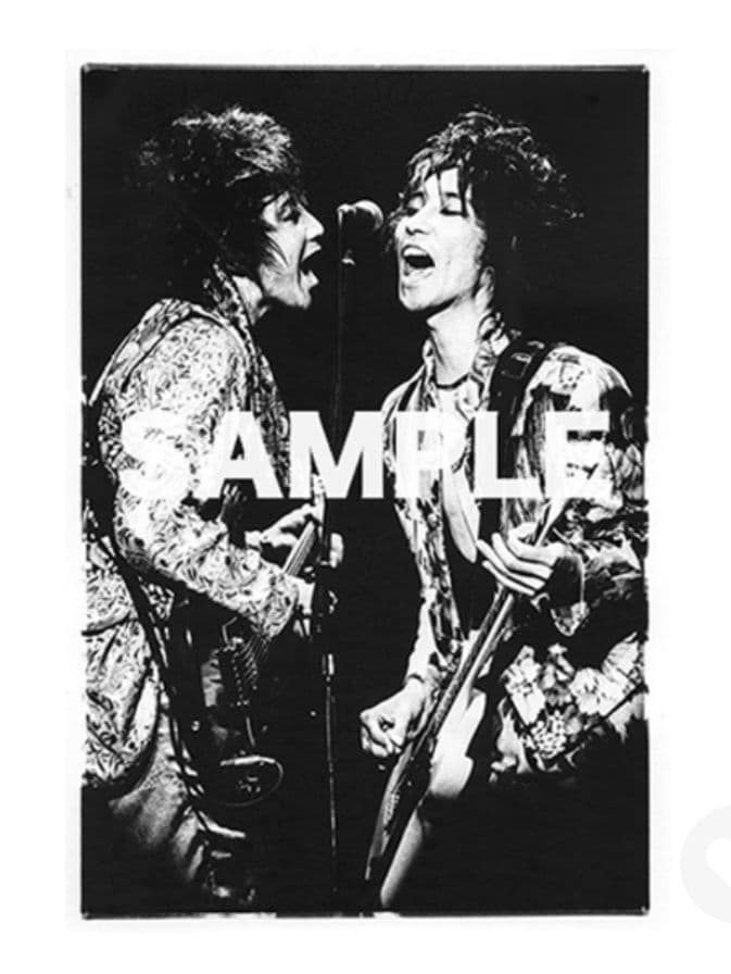 JOY-POPS HARRY&蘭丸 PHOTO-Tee ストリートスライダーズ