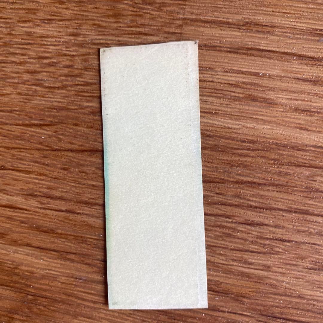 祇園甲部　芸妓　舞妓　千社札　槇里子