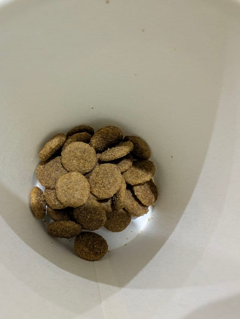 16日まで限定値下げブリーダーパック ファーストチョイスドライフード 18kg