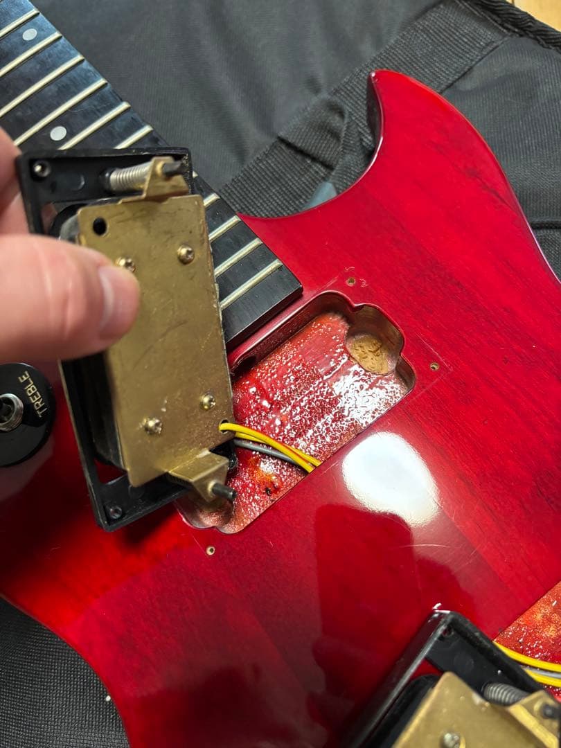 Aria pro2 PE40 (飽きのこないシンプルなデザイン)極美品