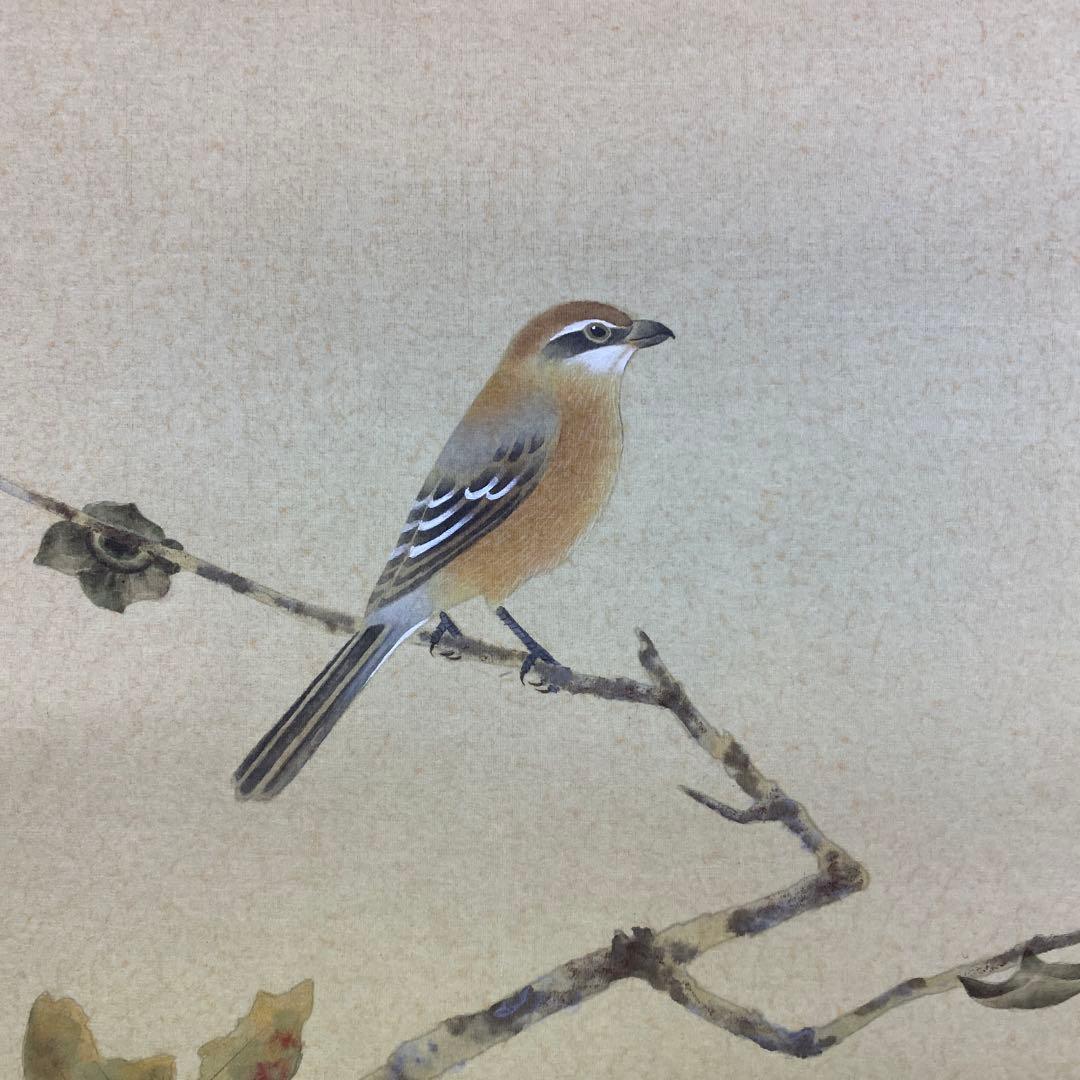 美品 掛け軸 柳沢寿江作 柿図 花鳥 共箱 太巻き 縁起物