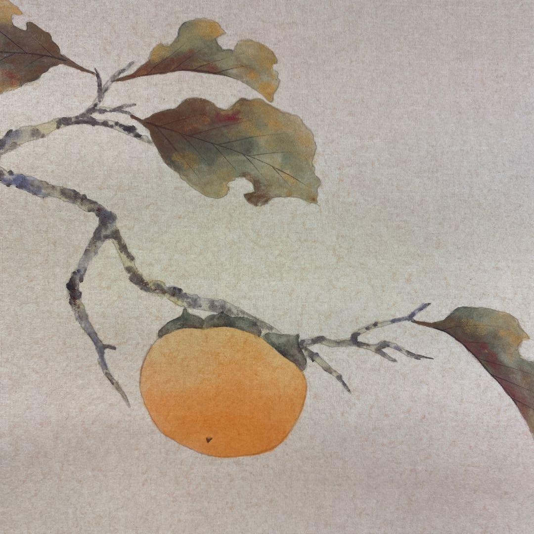 美品 掛け軸 柳沢寿江作 柿図 花鳥 共箱 太巻き 縁起物