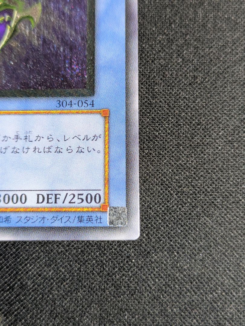 遊戯王　カオス・ソルジャー　　レリーフ 　304-054