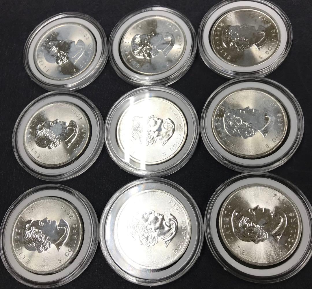 J007　カナダ　メイプルリーフ銀貨　９枚
