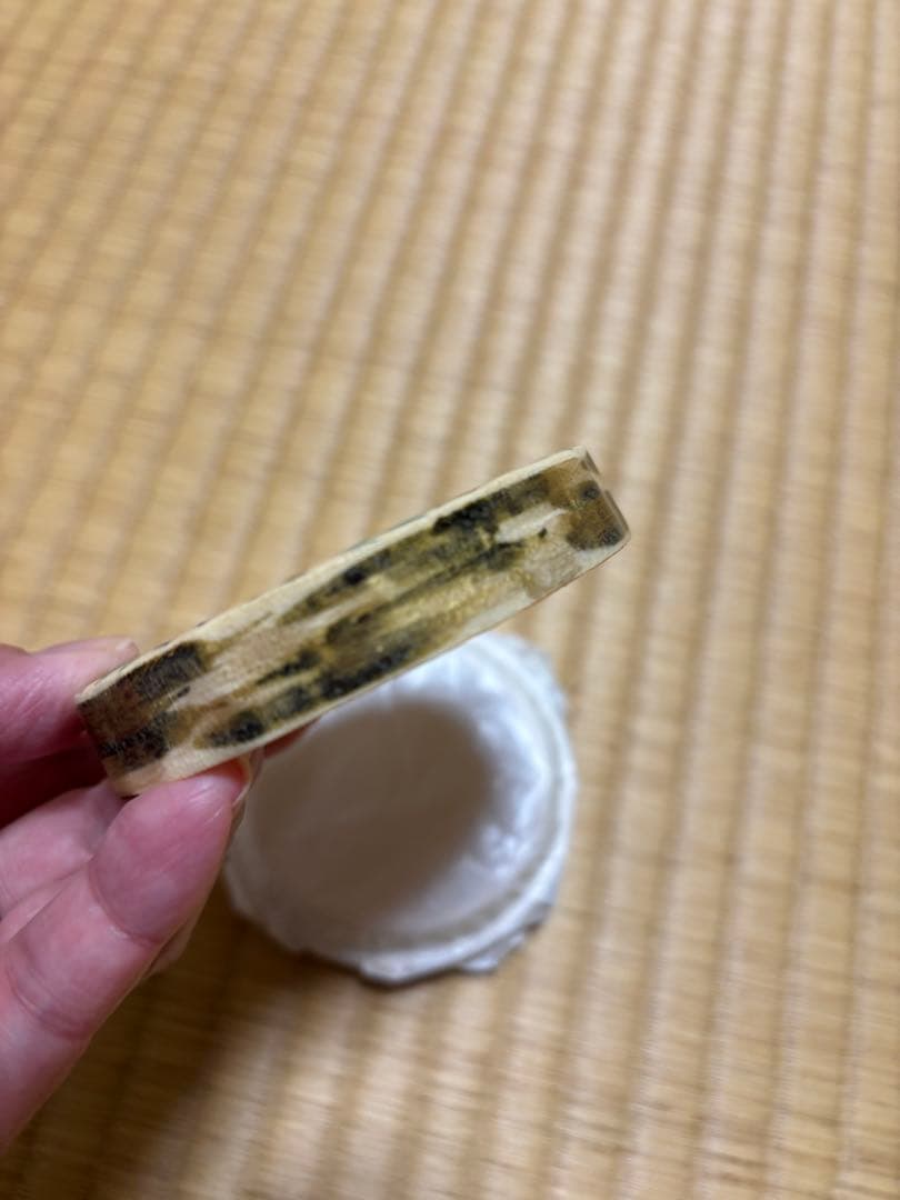 茶道具 香合 京焼 桜 山川敦司 共箱入り