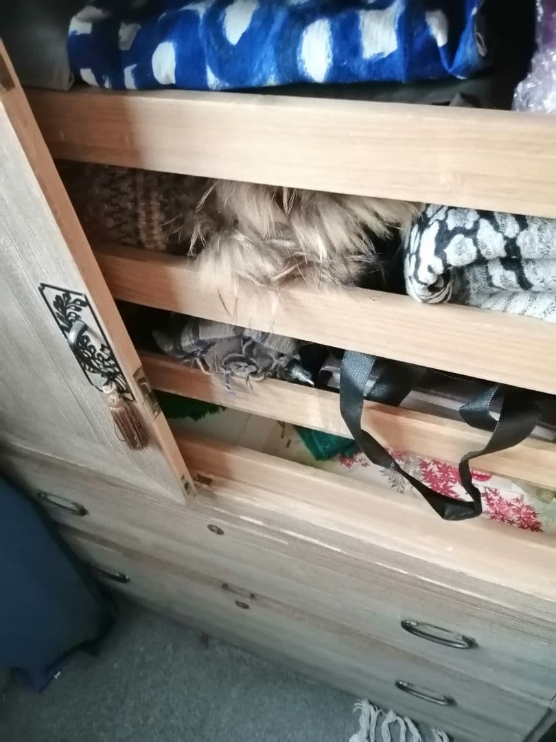 桐箪笥　箪笥　骨董　アンティーク　ヴィンテージ　家具　着物入れ　和箪笥