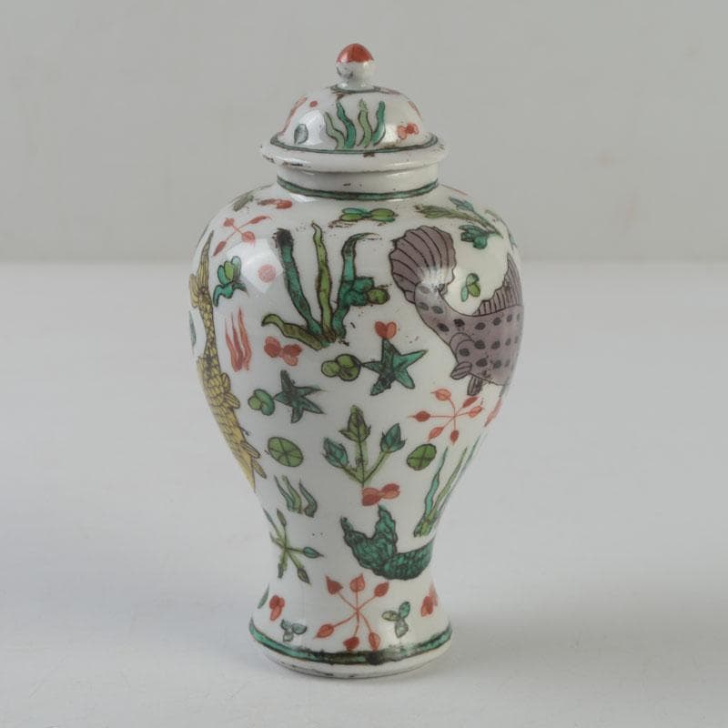 中国　大明嘉靖年製　赤絵　魚藻文　蓋壷　Z　8620