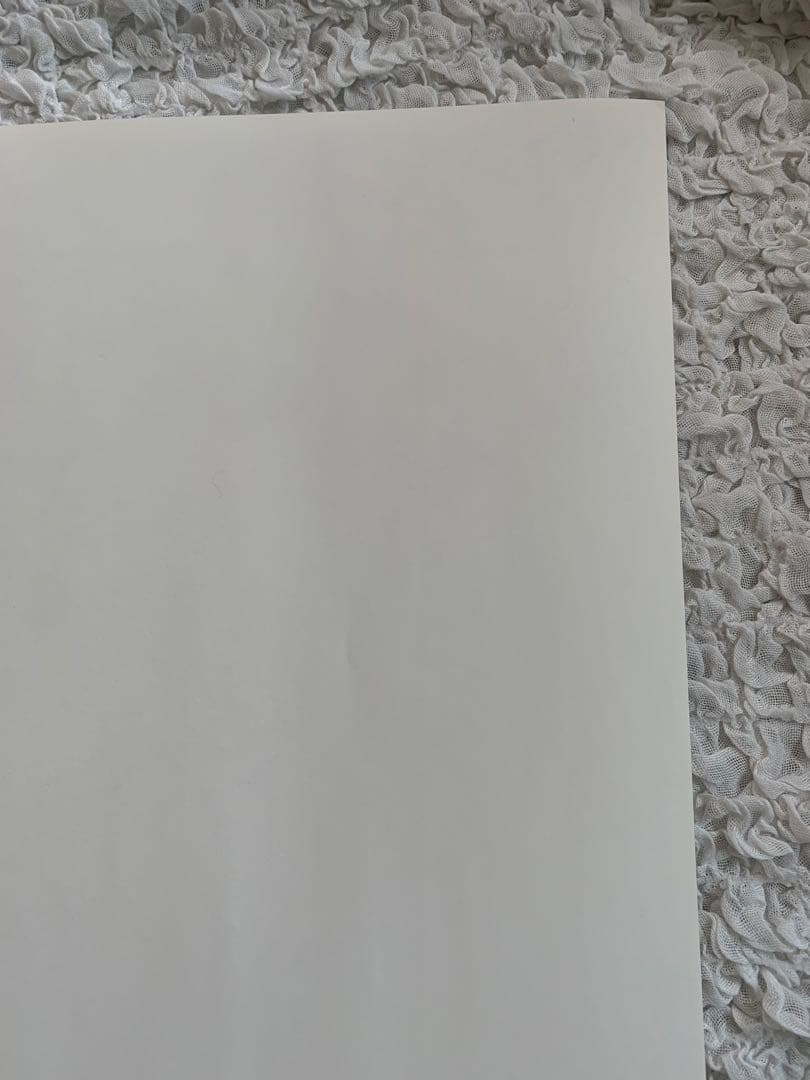 ソフィアリンド　ポスター　ファインリトルデー　50✖️70センチ