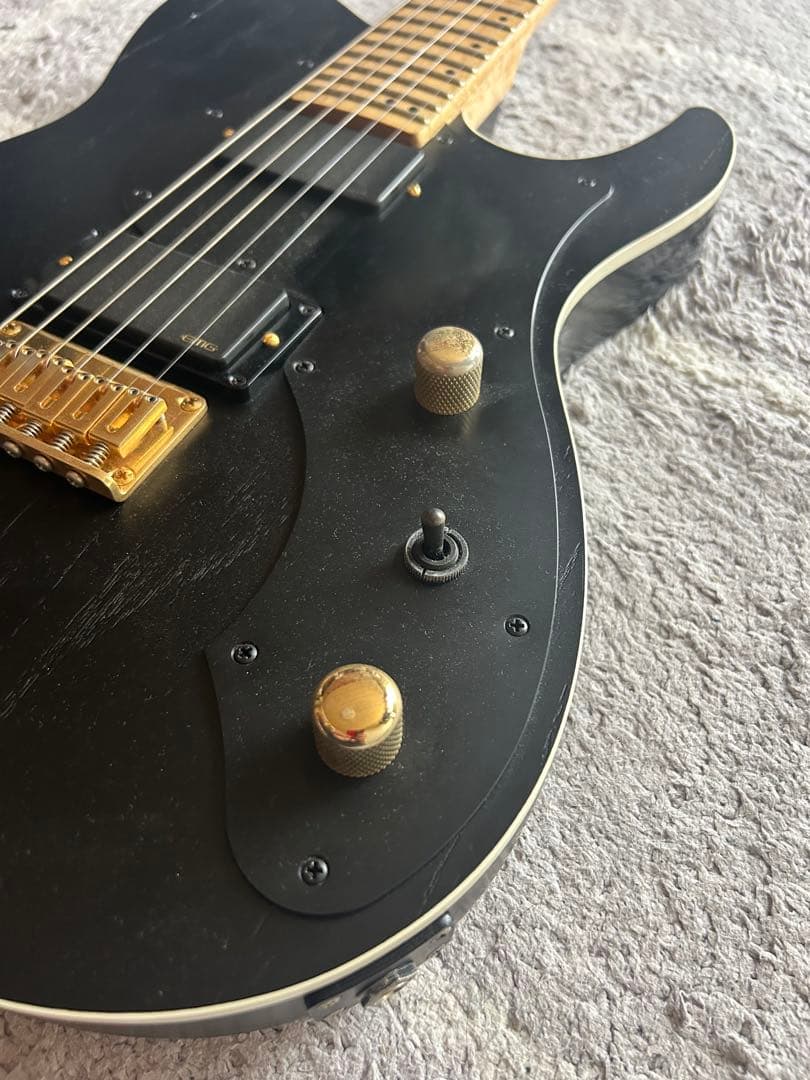 ギター FNG FUJIGEN JIL-ASH-DE664 EMG