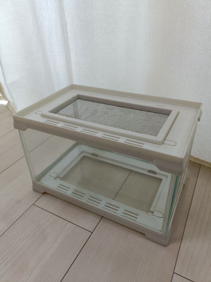 エネル様　ガラスケージ