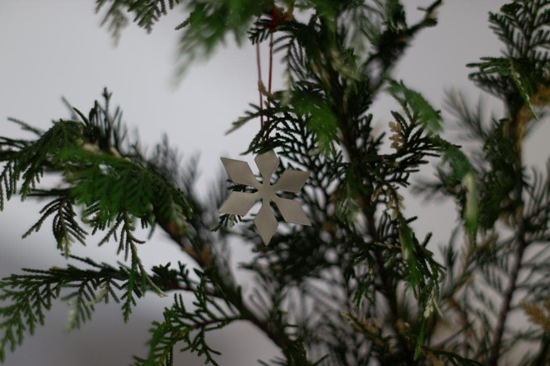 フィルムカメラ Contax 645 Planar T* 80mm f2.0