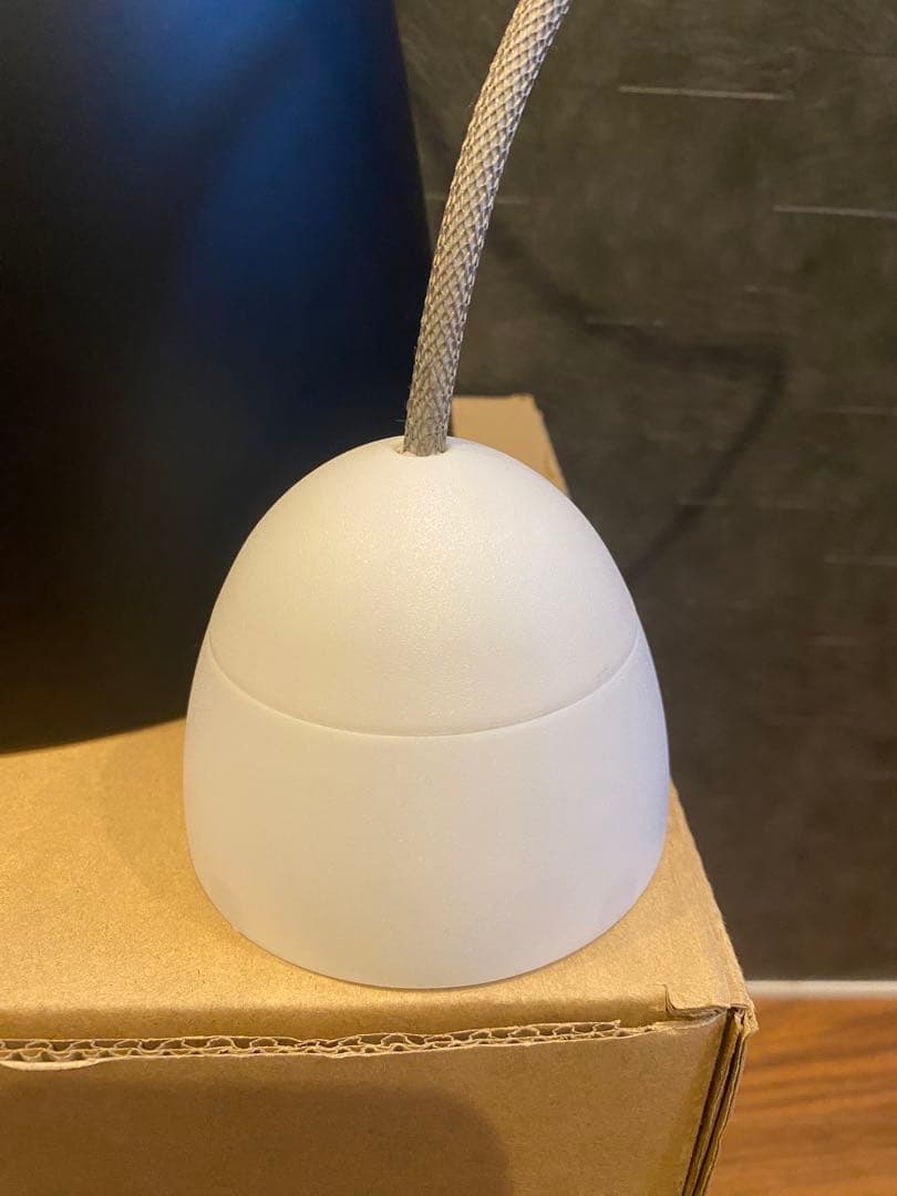 【美品】Fritz HansenフリッツハンセンCARAVAGGIO P2照明