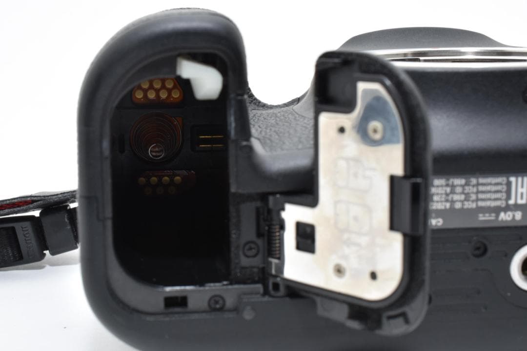 Canon EOS 6D Mark II 本体