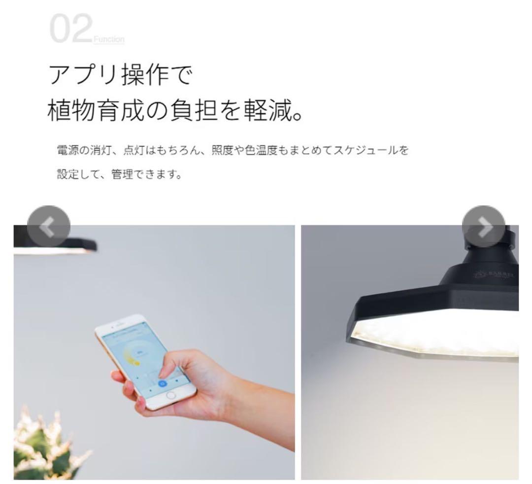 ROKI-OCTAGON-50W ロキ　オクタゴン　アクアリウム　ブラック