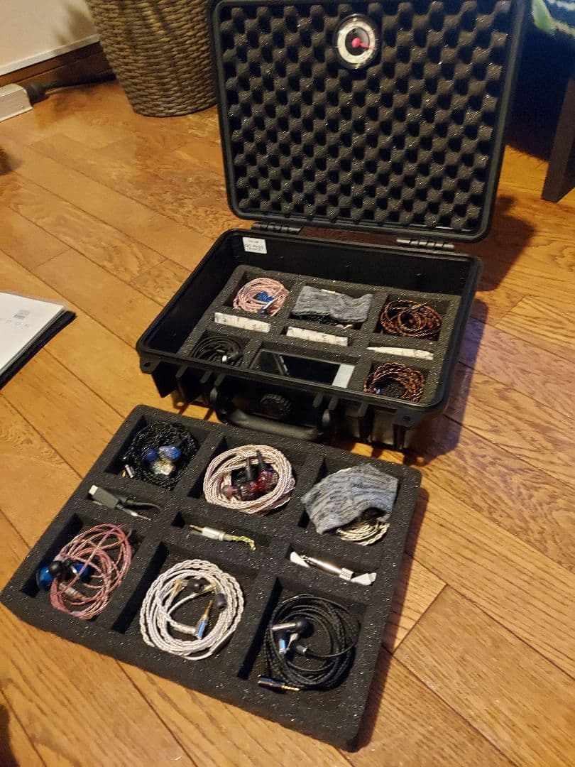 446　イヤホン11本 セット　ハードケース、cayin n5 ii 付き