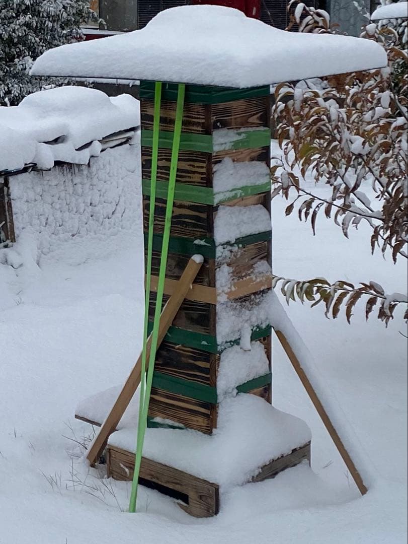 日本ミツバチ　重箱式巣箱　飼育捕獲用