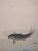 【模写】掛軸　川端龍子　花吹き　桜と鯉の情景　優雅に泳ぐ黒鯉図　二重箱入　T93