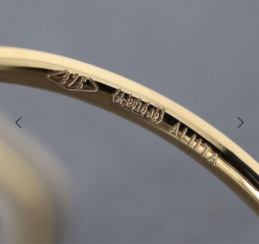 ALIITA DINO ESMERALA XXSサイズ　恐竜