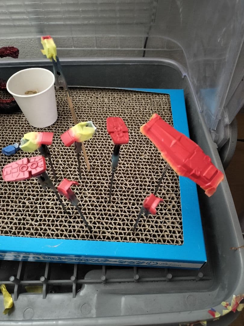 【よっちゃん】