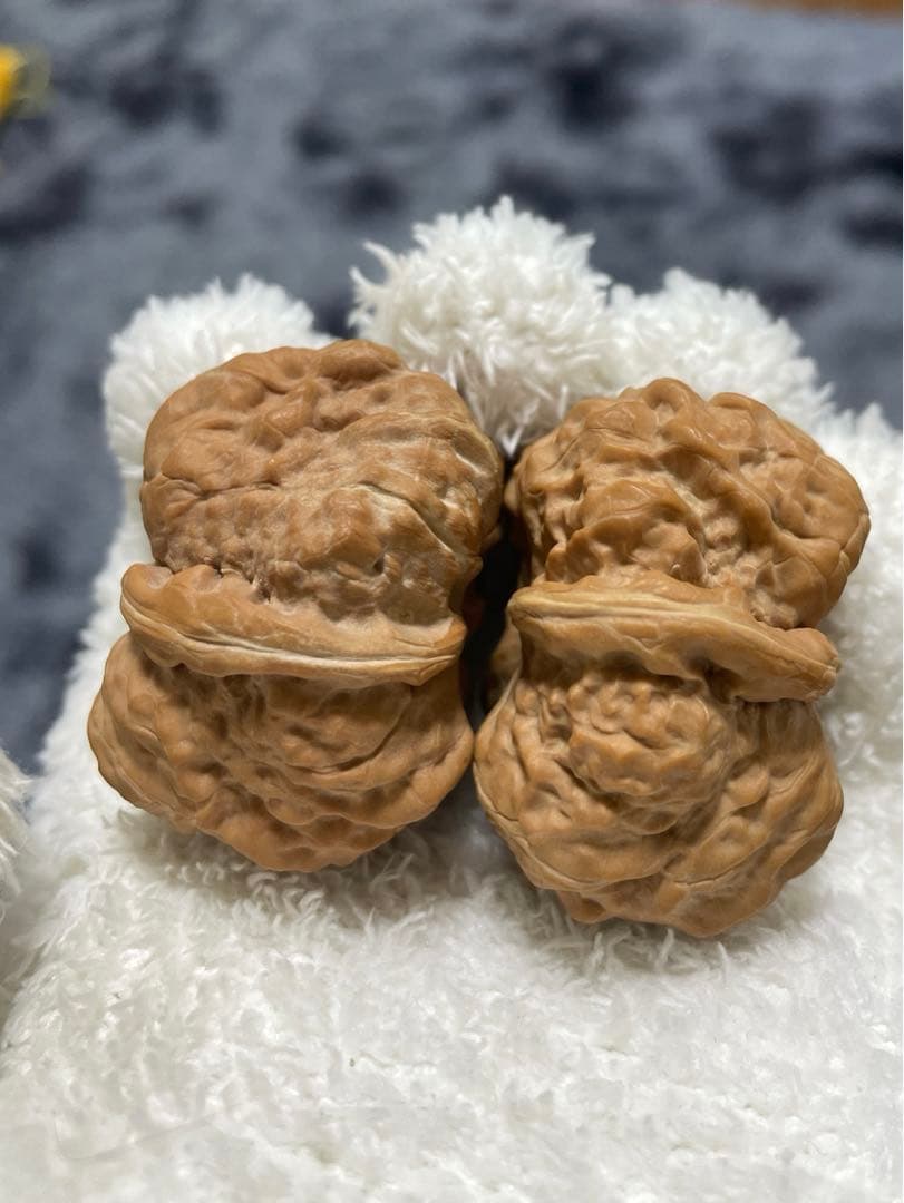 年末セール中！ 48蛤蟆头 クルミ文玩核桃