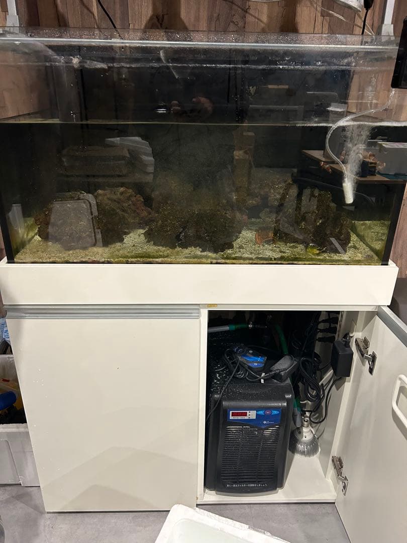 海水魚水槽フルセット早い者勝ち