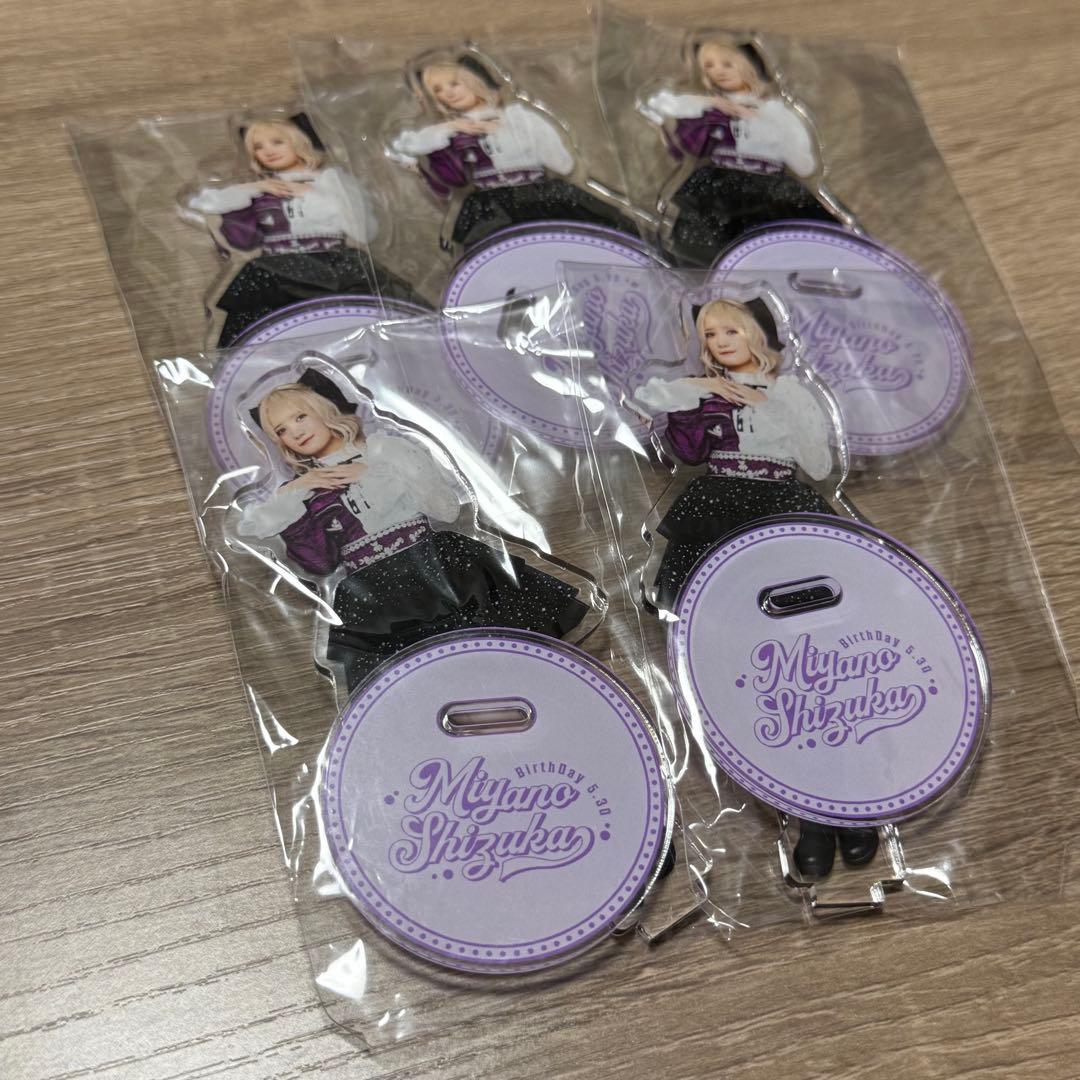 宮野静 生誕 ラッフル