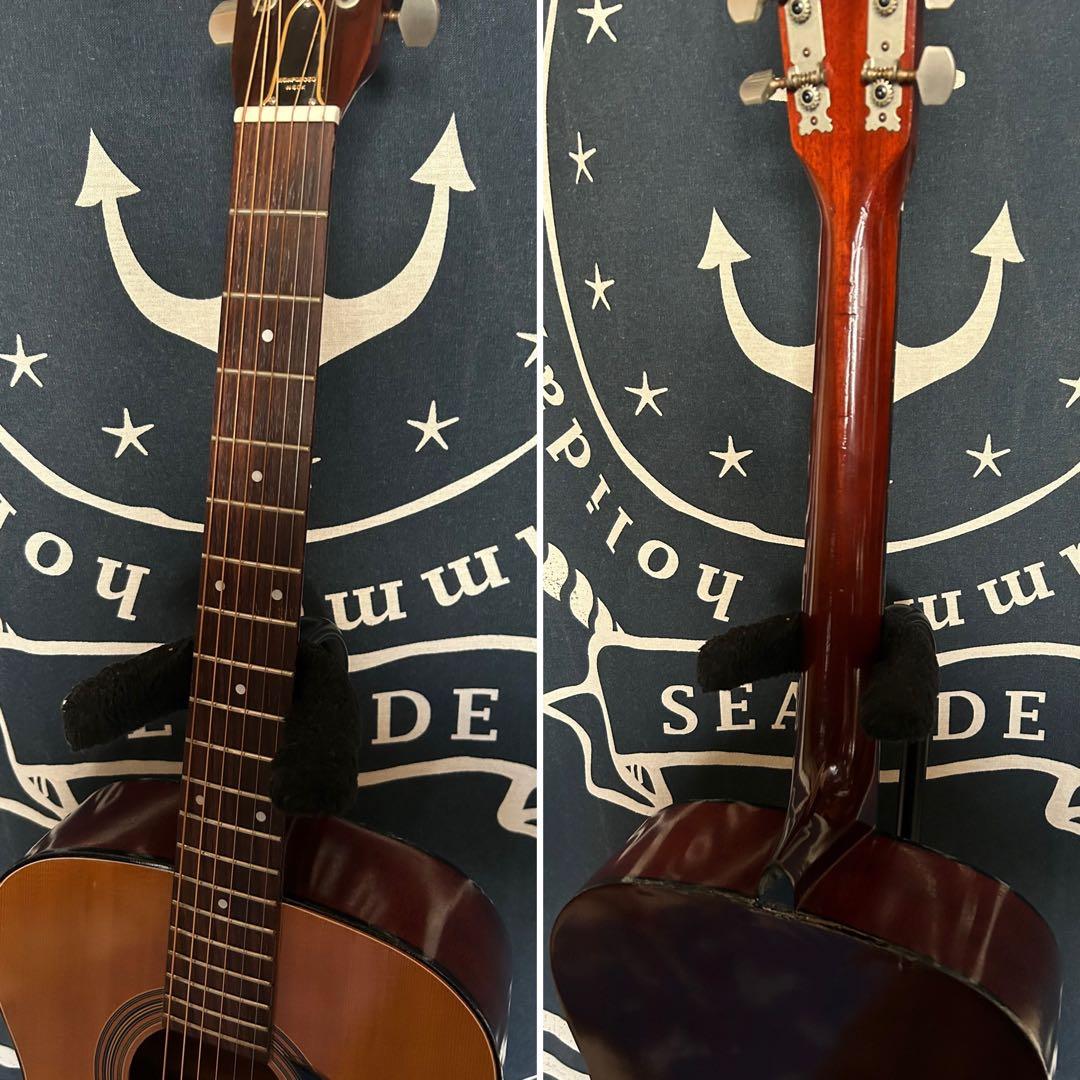 新春特価セール‼️70s国産ビンテージ❣️レア単板トップ❣️トムソン Ｆ-18