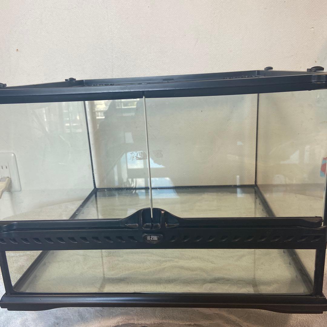 【万治】エキゾテラ　グラステラリウム4530　PT2603