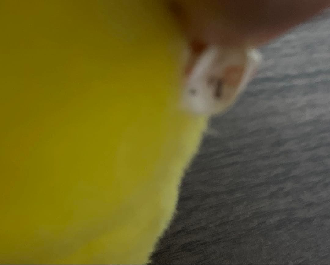 初代ピカチュウぬいぐるみTOMY