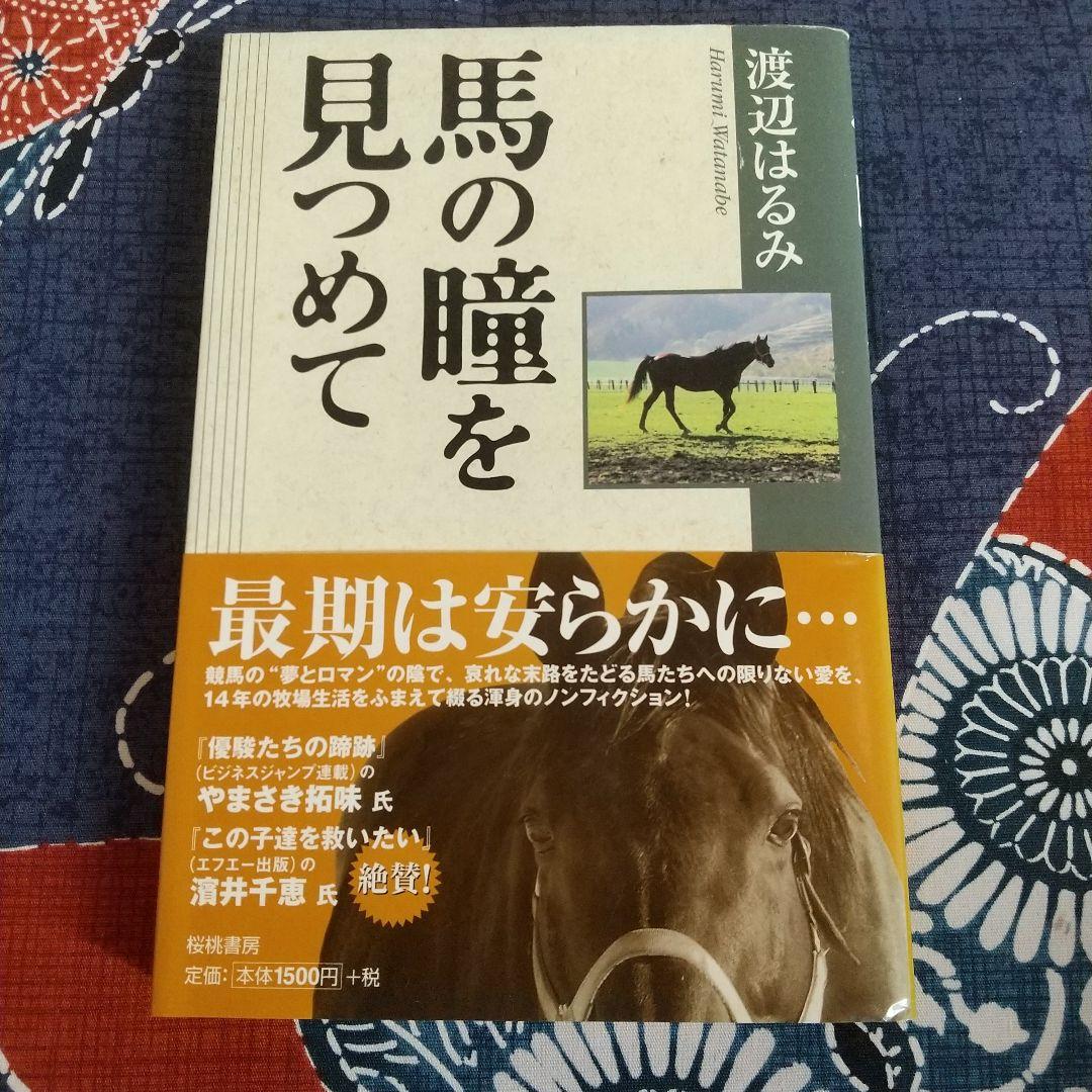馬の瞳を見つめて