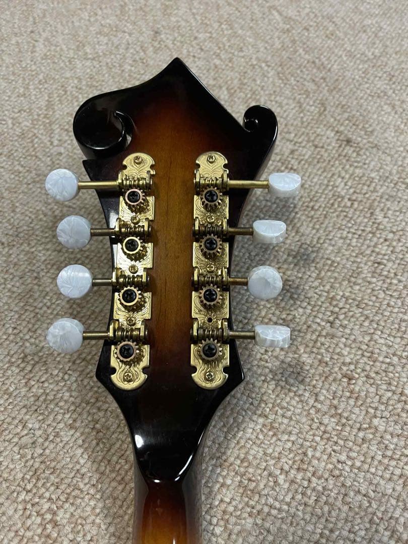 Rally ラリー エレクトリックフラットマンドリン&ハードケース