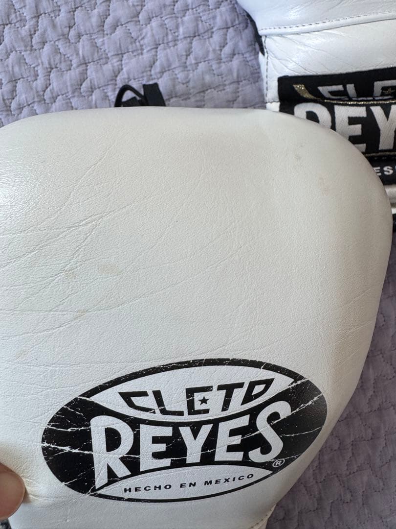 レイジェス　REYES ボクシンググローブ プロフェッショナル