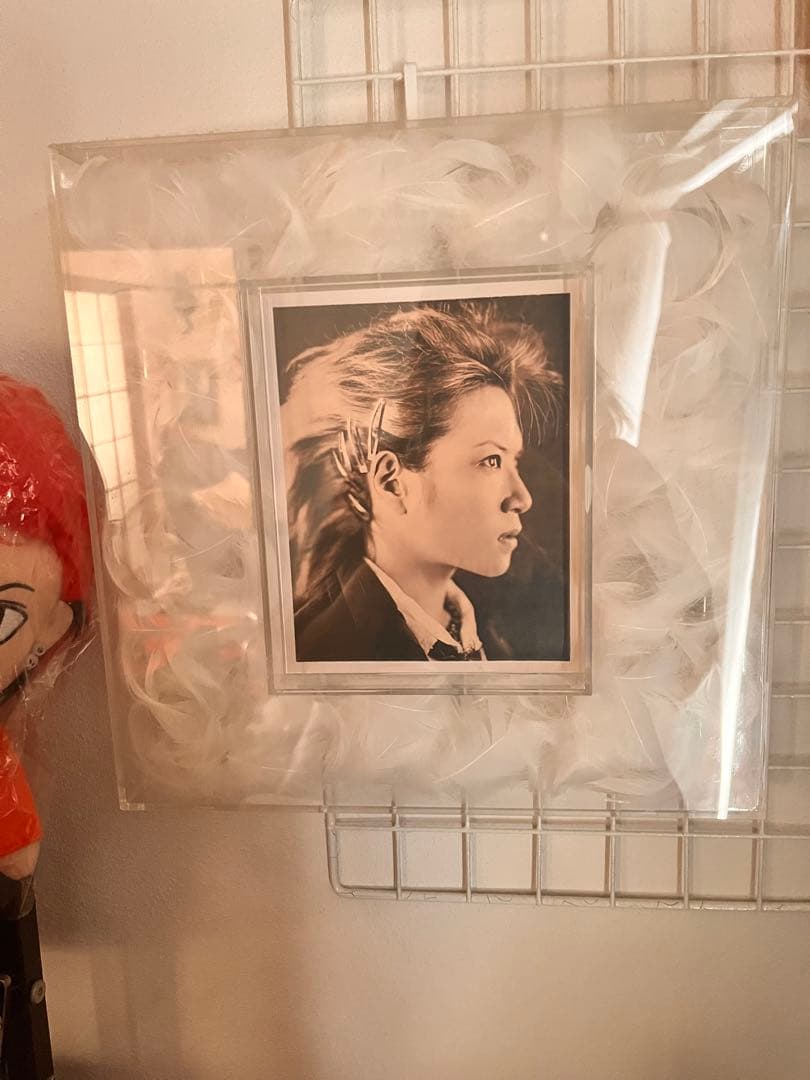 hide メモリアルフェザーフレーム