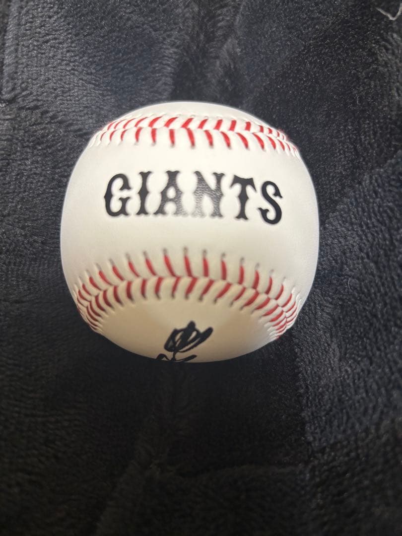巨人 読売ジャイアンツ 甲斐拓也 直筆 サイン ボール ファンフェスタ 投げ入れ