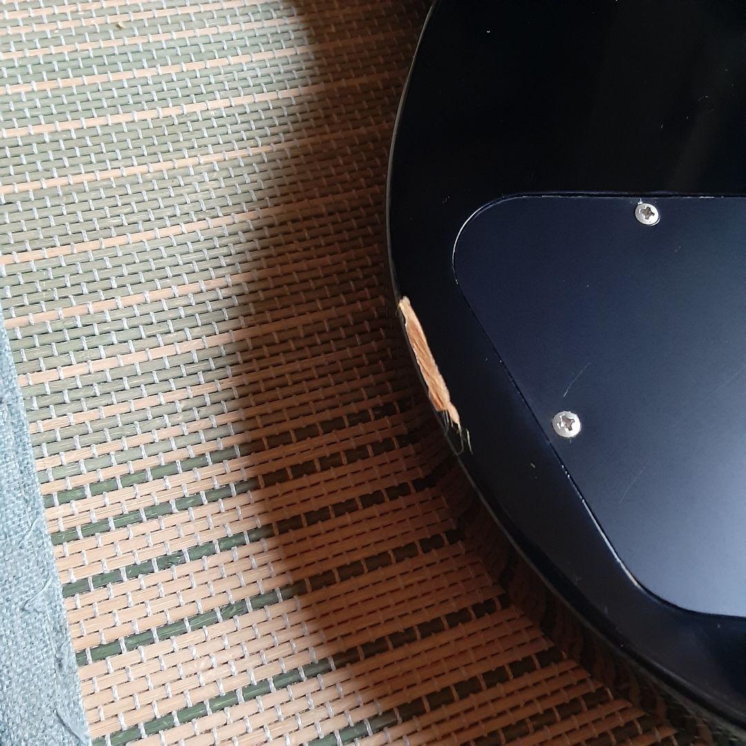 ESP グラスルーツ GrassRoots レスポール ソフトケース、オマケ付き