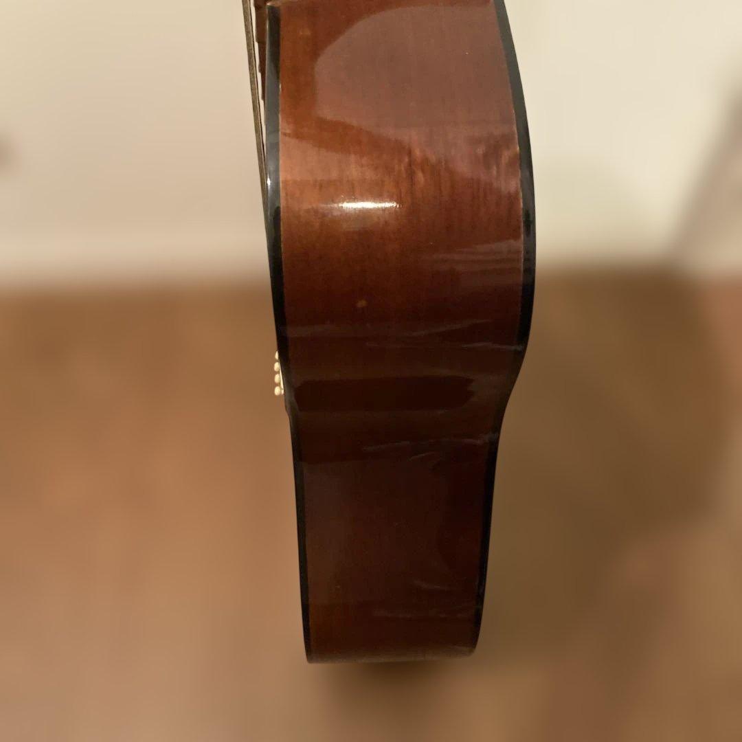 【送料無料】Pro Martin アコースティックギター　W-130