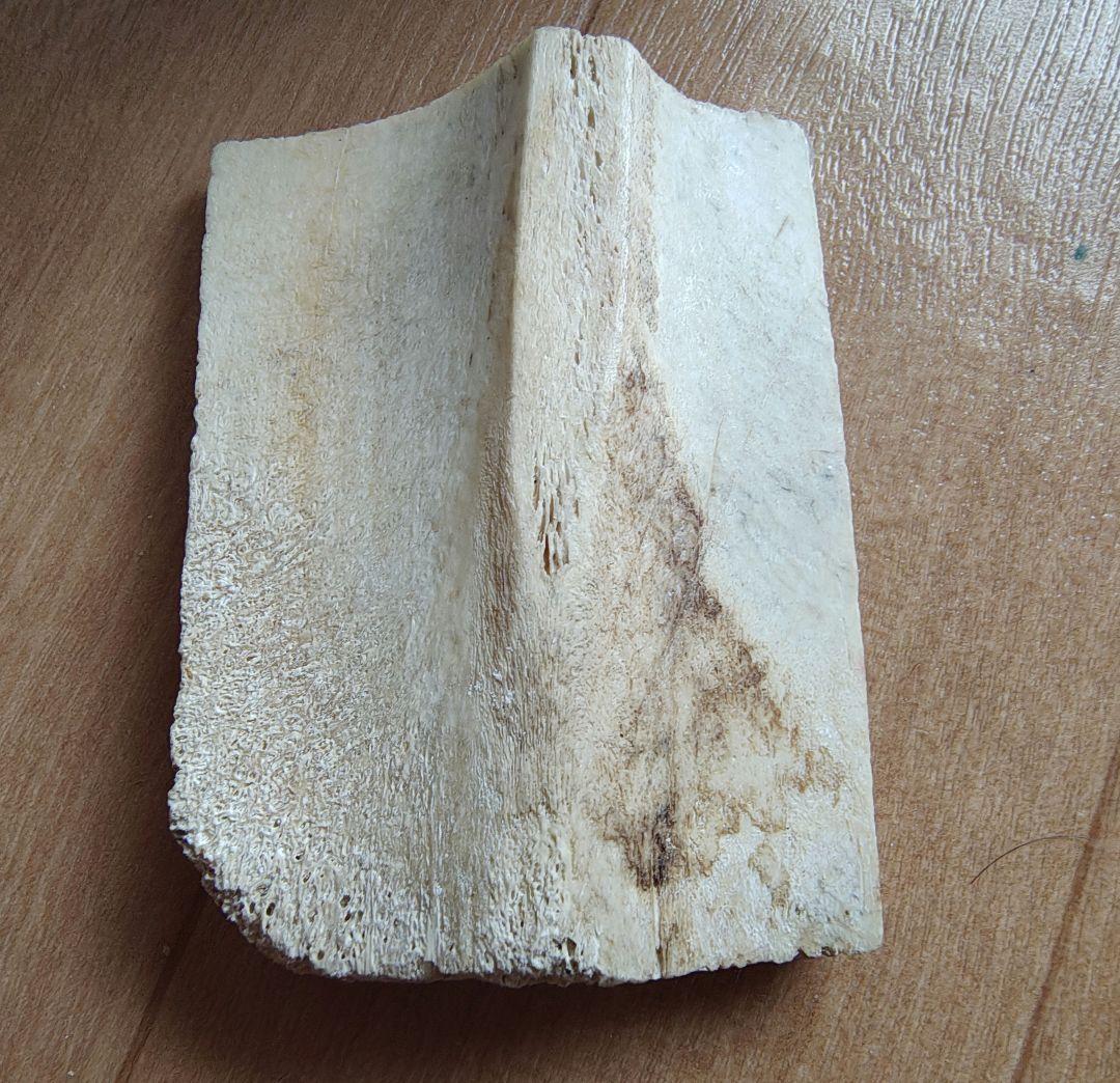 タイのお守りプラクルアン！繁栄&金運アップのクマントーン！！