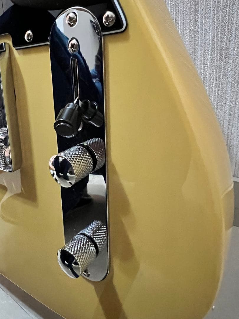 Bacchus BTE-1/M BBD バッカス テレキャスタイプ スタンド付き