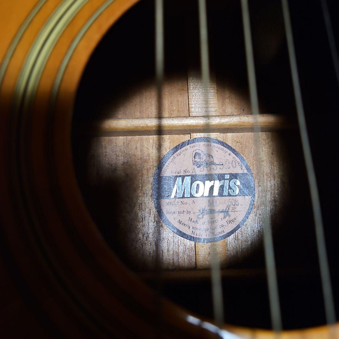 Morris アコースティックギター MD506