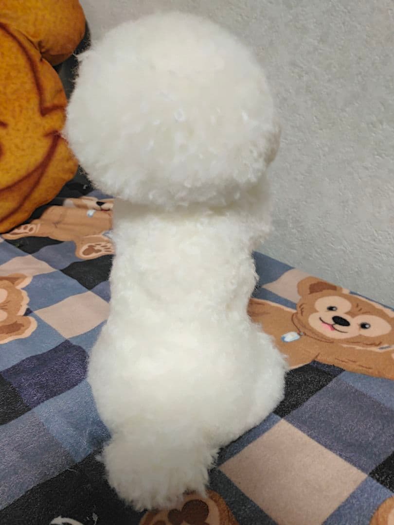 渡邉真由美♡招きワンコちょうだいポーズ。