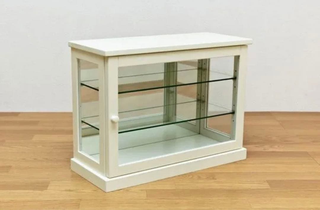 コレクションケース　ヨコ　DBR/WW