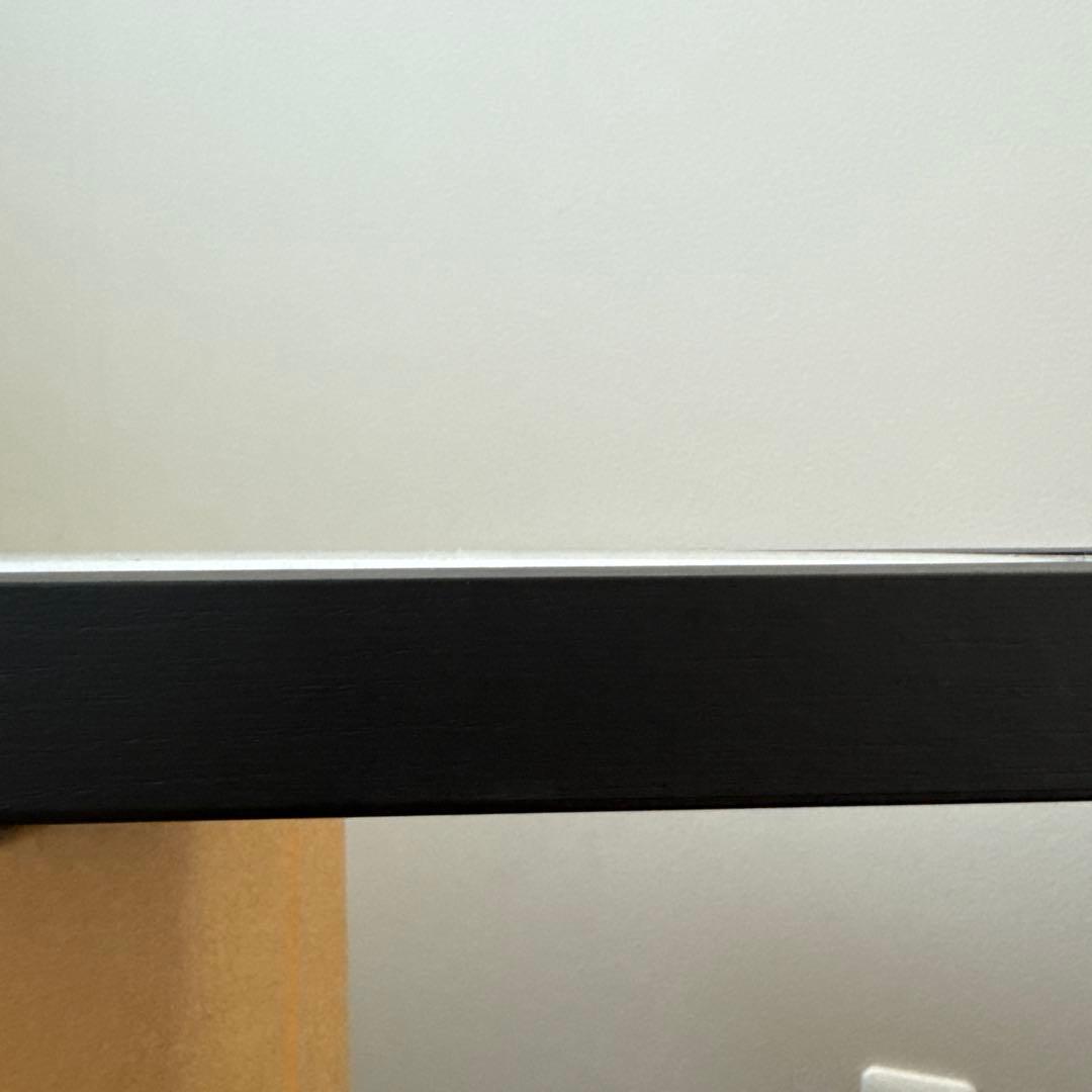 BRID LIGHTING DUCT RAIL with LED ダクトレール黒