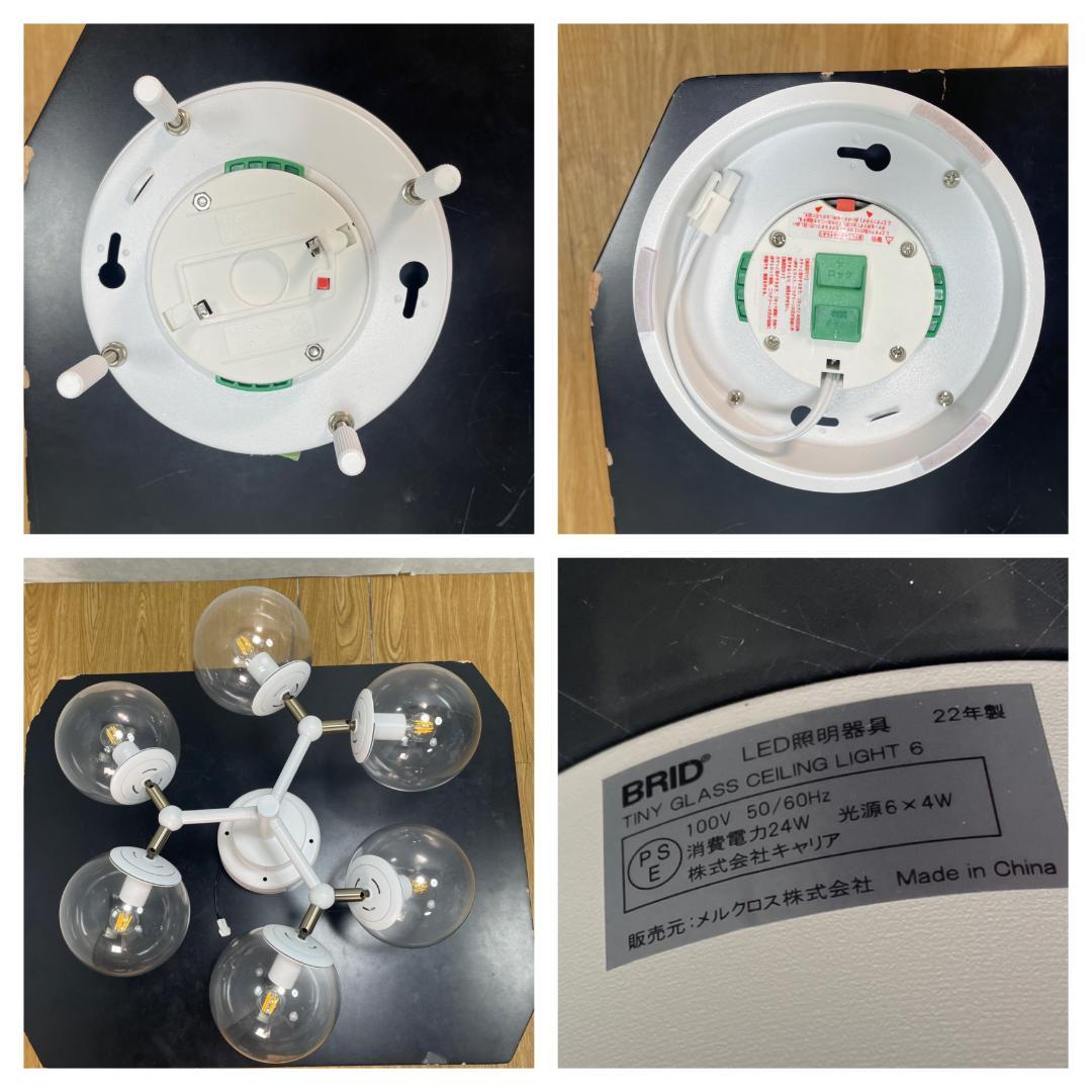 Y♢517 BRID 　 TINY GLASS CEILING LIGHT 6