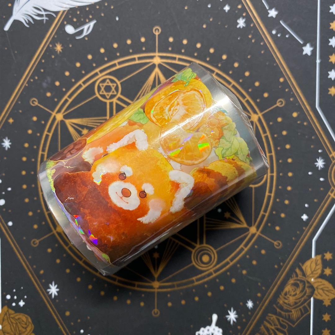 【C】海外　10m巻　貝殻光マスキングテープ　動物/お花/装飾/背景系